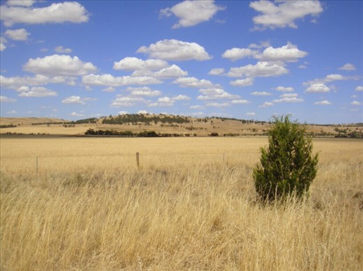 When the grass is high, SA