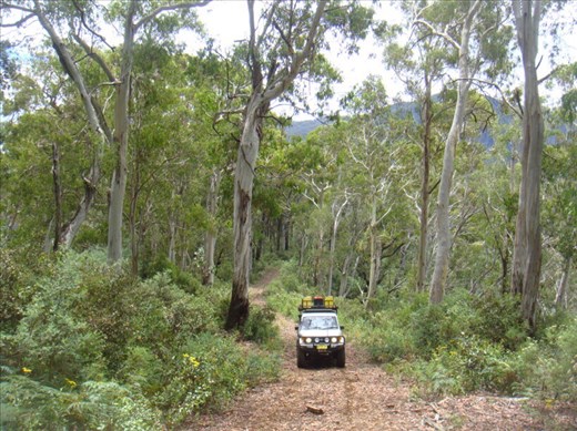 Driving through the High Country, Vic