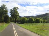 Benambra- Corryong Rd, Vic: by thomasz, Views[182]