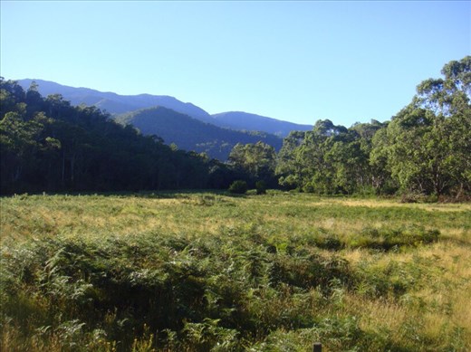 Geehi flats, Kosciuszko NP, NSW 