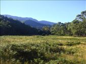 Geehi flats, Kosciuszko NP, NSW : by thomasz, Views[142]