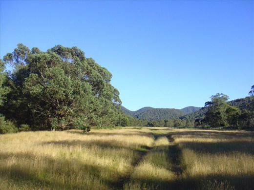 Track, Geehi flats, Kosciuszko NP, NSW