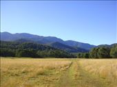 Looking out over Geehi flats, Kosciuszko NP, NSW: by thomasz, Views[149]