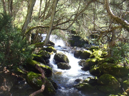Little fall, Kosciuszko NP, NSW