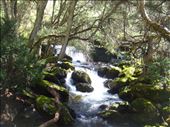 Little fall, Kosciuszko NP, NSW: by thomasz, Views[204]
