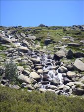 Smelt-water, Kosciuszko NP, NSW: by thomasz, Views[163]