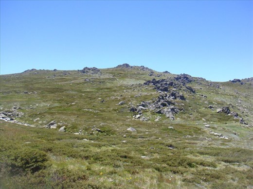 Kosciuszko plateau, Kosciuszko NP, NSW