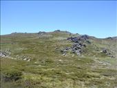 Kosciuszko plateau, Kosciuszko NP, NSW: by thomasz, Views[127]