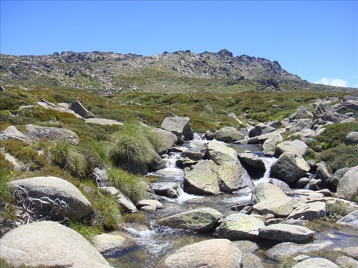 More smelt-water, Kosciuszko plateau, Kosciuszko NP, NSW