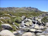 More smelt-water, Kosciuszko plateau, Kosciuszko NP, NSW: by thomasz, Views[156]