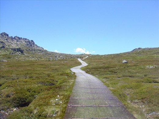 Walking track, Kosciuszko plateau, Kosciuszko NP, NSW