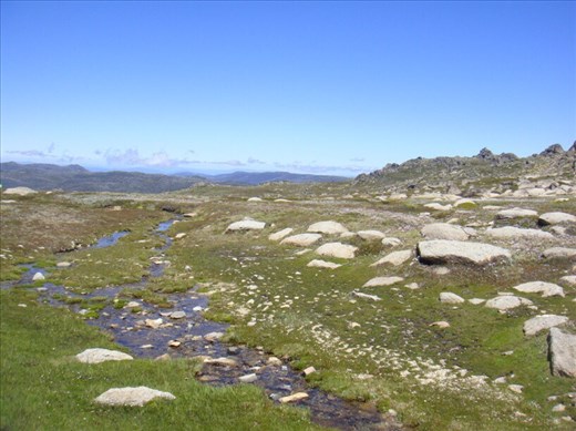 Little pools, Kosciuszko plateau, Kosciuszko NP, NSW