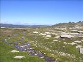 Little pools, Kosciuszko plateau, Kosciuszko NP, NSW: by thomasz, Views[149]