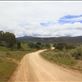 Driving towards the Australian Capital Territory, NSW: by thomasz, Views[128]