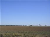There's always some kind of a drought going on in Walgett, NSW.: by thomasz, Views[346]