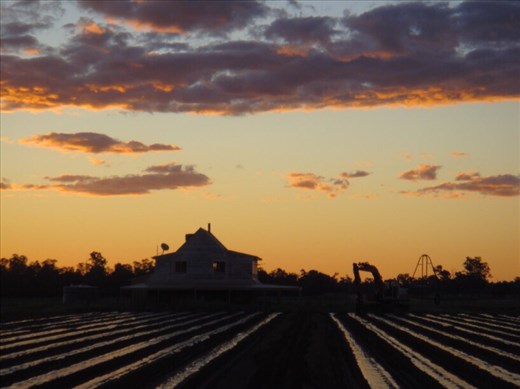 Abandoned farmhouse, Canowindra, NSW.