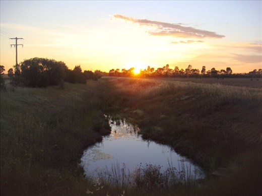 Early in the morning, walking to work, Canowindra, NSW.