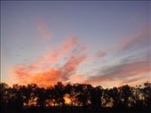A fiery morning, Canowindra, NSW.: by thomasz, Views[287]