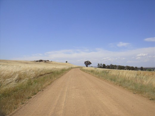Country road, Canowindra, NSW.