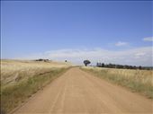 Country road, Canowindra, NSW.: by thomasz, Views[235]