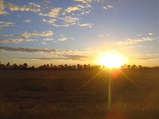 Empty paddock in the morning, Canowindra, NSW.