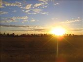 Empty paddock in the morning, Canowindra, NSW.: by thomasz, Views[167]