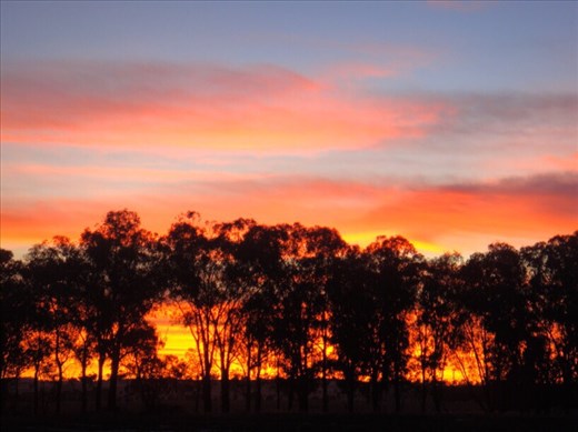 The promise of another hot day, Canowindra, NSW.