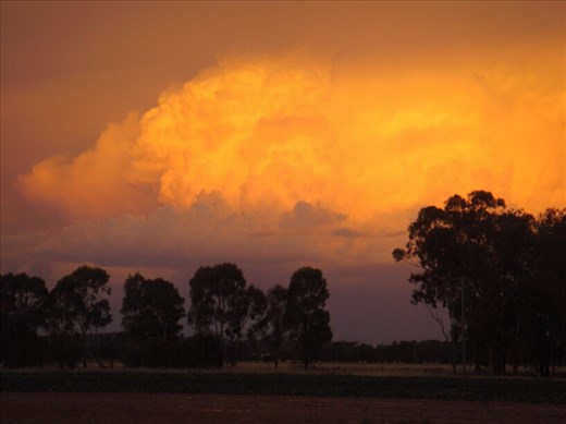 Golden cloud, Canowindra, NSW.