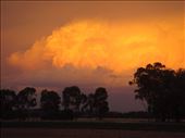 Golden cloud, Canowindra, NSW.: by thomasz, Views[256]