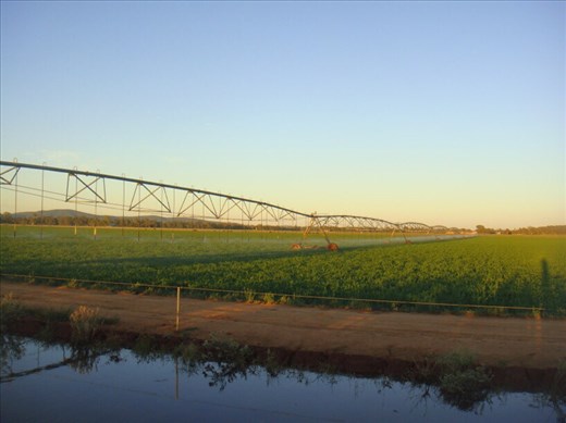Irrigation, Canowindra, NSW.