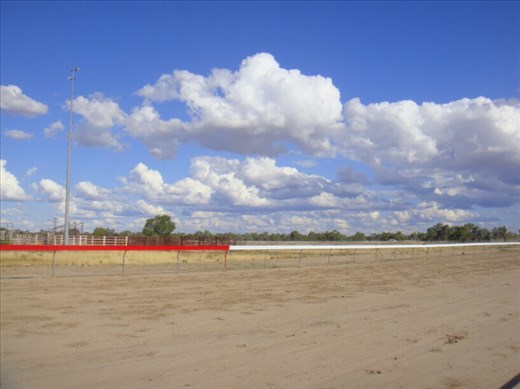 No grass on this track, Bourke, NSW.