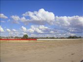 No grass on this track, Bourke, NSW.: by thomasz, Views[293]
