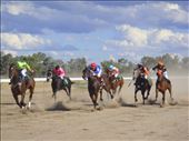 Jockeys, Bourke, NSW.: by thomasz, Views[286]