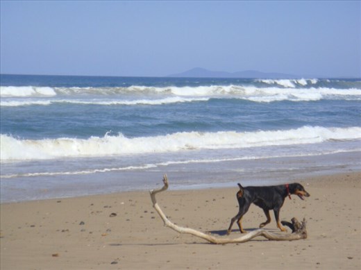 Peta, Old Bar beach, NSW.
