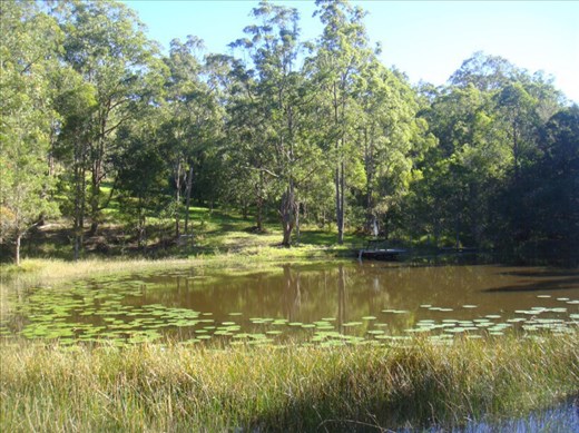 The top dam, Kimbriki, NSW.
