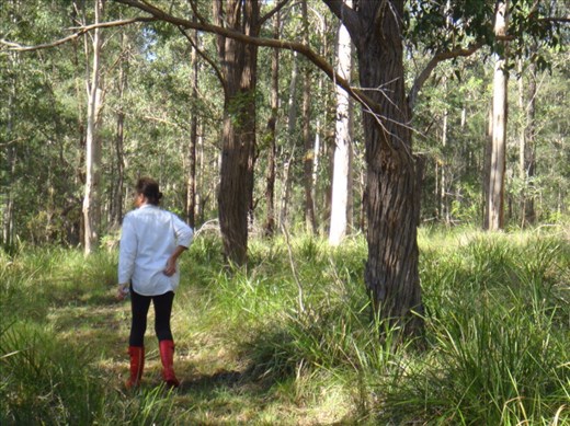 Not a stroll in the park, Kimbriki, NSW.