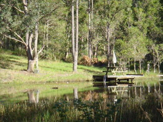 The deck on the top dam, Kimbriki, NSW.