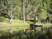 The deck on the top dam, Kimbriki, NSW.: by thomasz, Views[252]