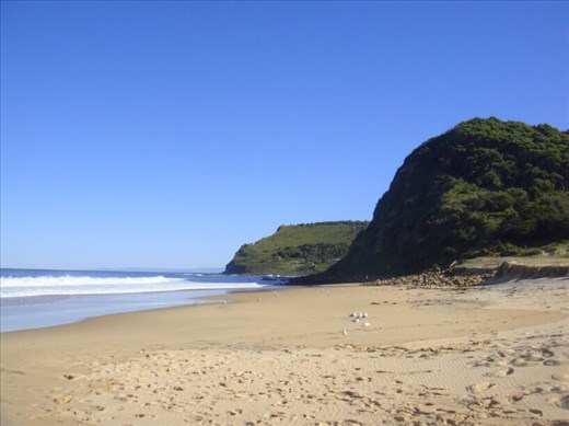 South end of Garie beach, Royal NP, NSW.