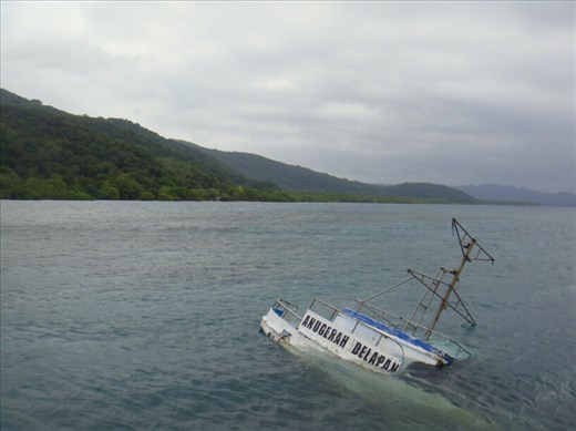 Victim of cyclone Pam, Litzlitz wharf, Malekula.