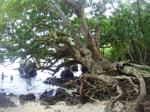 Going for our first swim, Northeast Malekula.