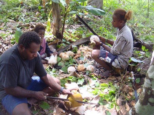 Chanel, Sambrina (cousin) and little Ashila peeling coconuts, Caroline Bay, Malekula.