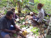 Chanel, Sambrina (cousin) and little Ashila peeling coconuts, Caroline Bay, Malekula.: by thomasz, Views[251]