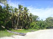 Canoes on Caroline Bay beach, Malekula.: by thomasz, Views[248]