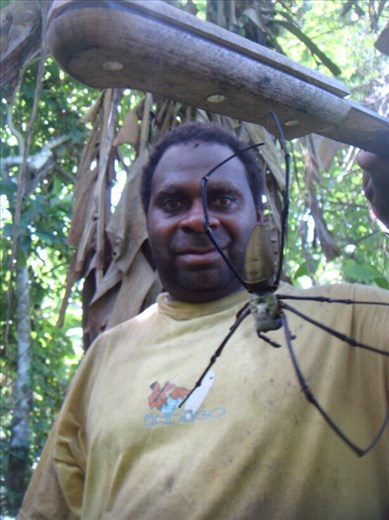 Chanel holding a huge golden orb weaving spider, Caroline Bay, Malekula.