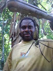 Chanel holding a huge golden orb weaving spider, Caroline Bay, Malekula.: by thomasz, Views[339]