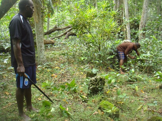 Uncles Sam and Sonny clearing bush around the remains of their ancestral nakamal, Caroline Bay, Malekula.