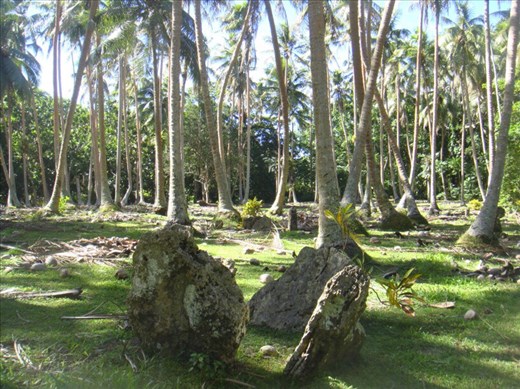 Ancestral kastom dancing stones, a holy place, 'women tabu', Caroline Bay, Malekula.