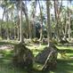 Ancestral kastom dancing stones, a holy place, 'women tabu', Caroline Bay, Malekula. Views[187]
