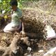 Marie digging for yams, Caroline Bay, Malekula. Views[237]